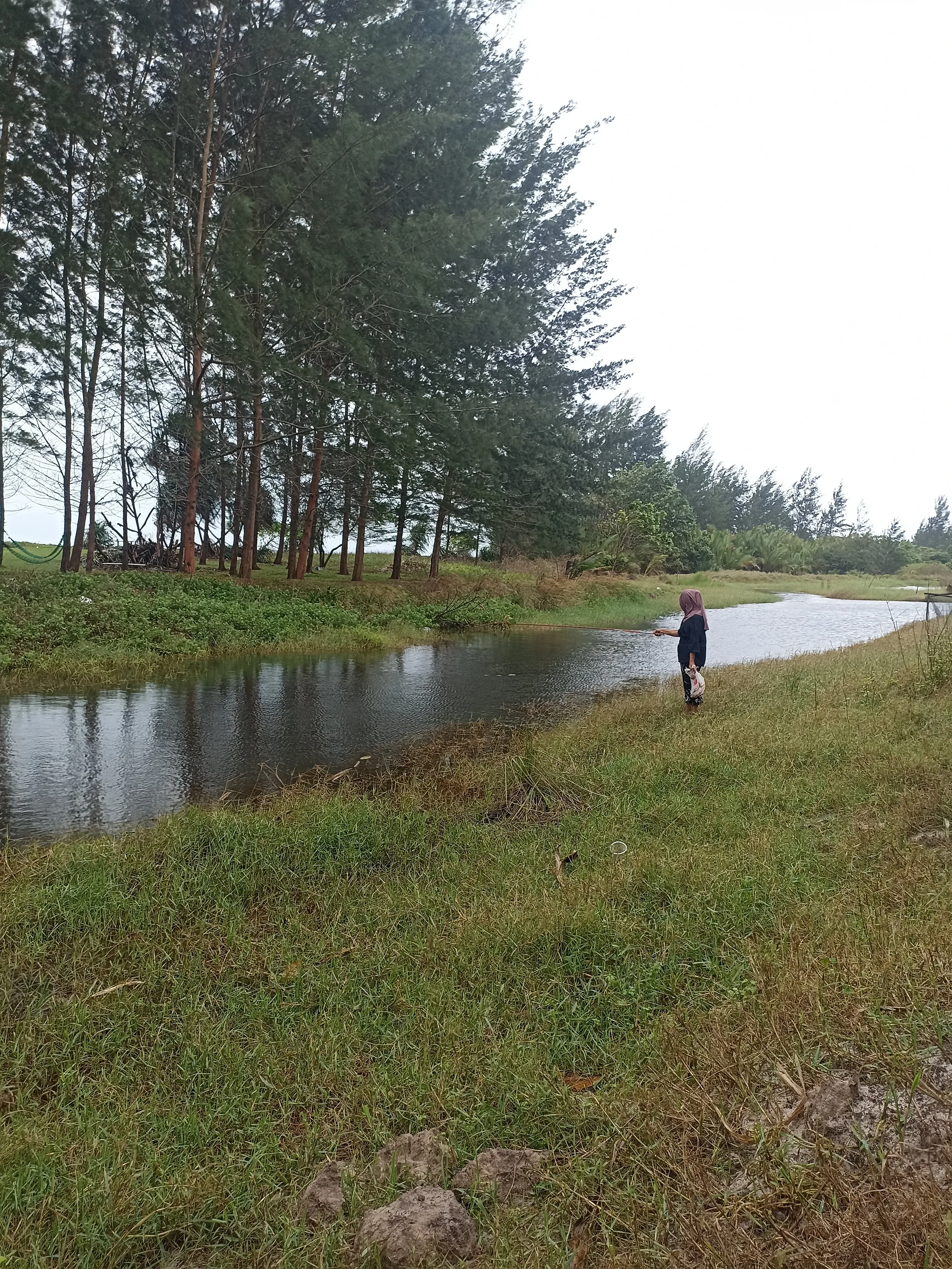 Ikan Bulan Bulan - Habitat