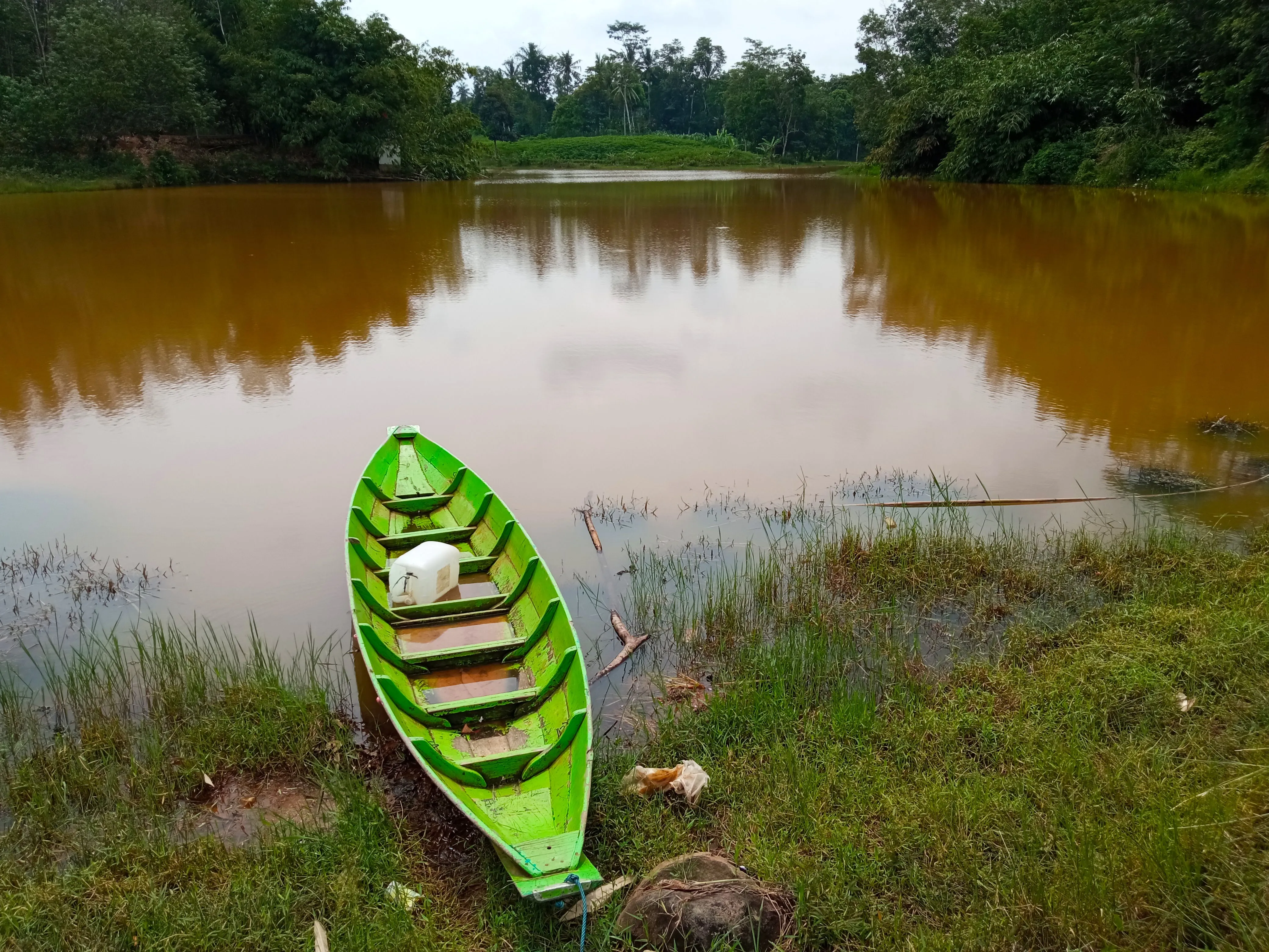 Wader pari - Habitat