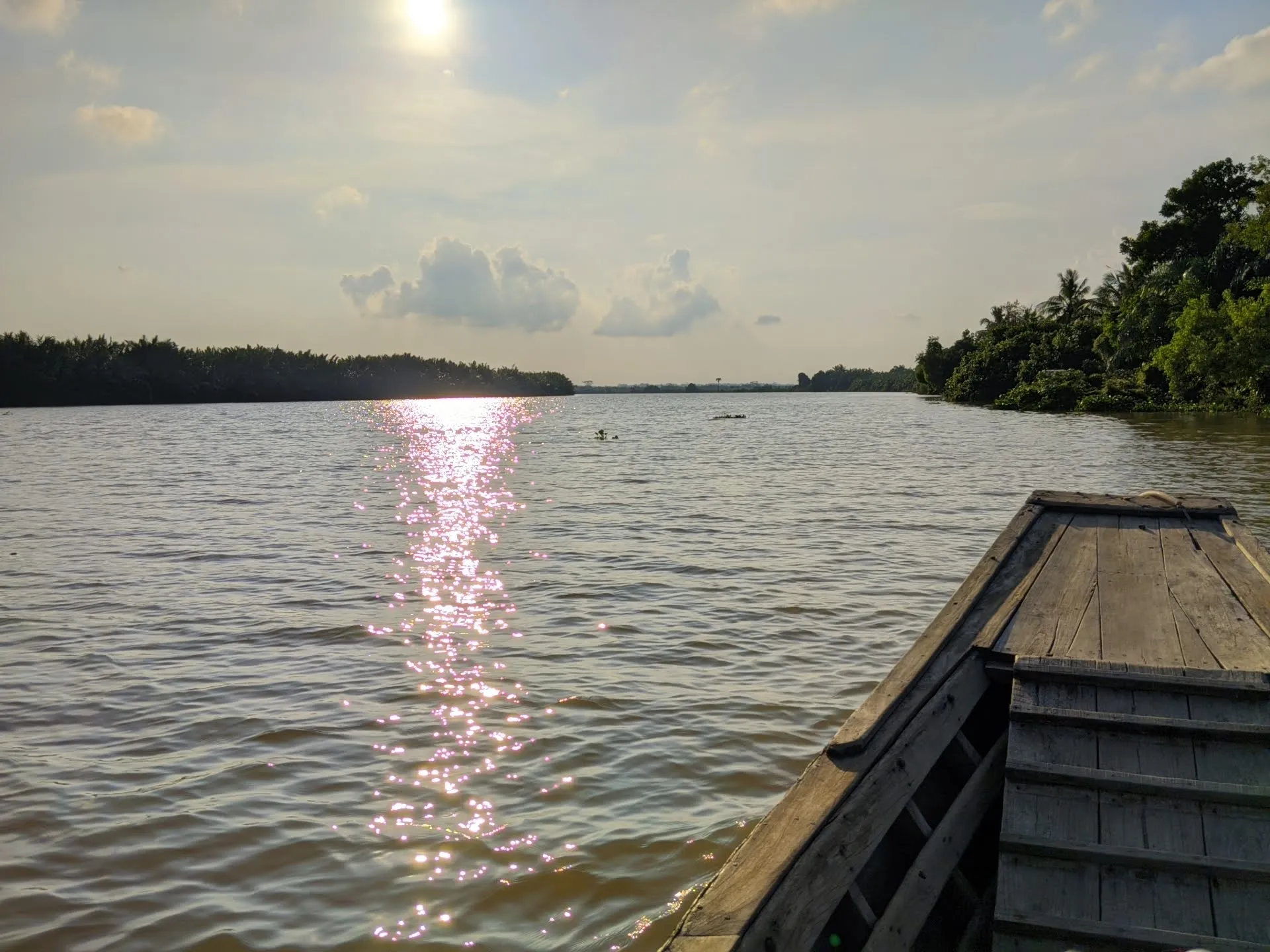 Ikan pepah - Habitat