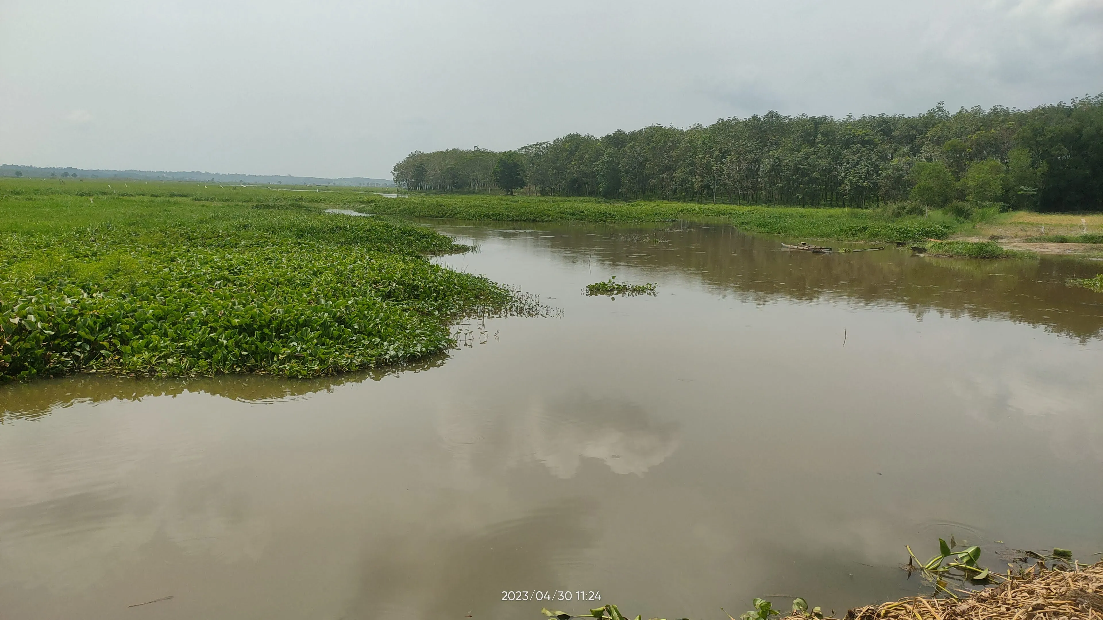 Ikan Motan - Habitat