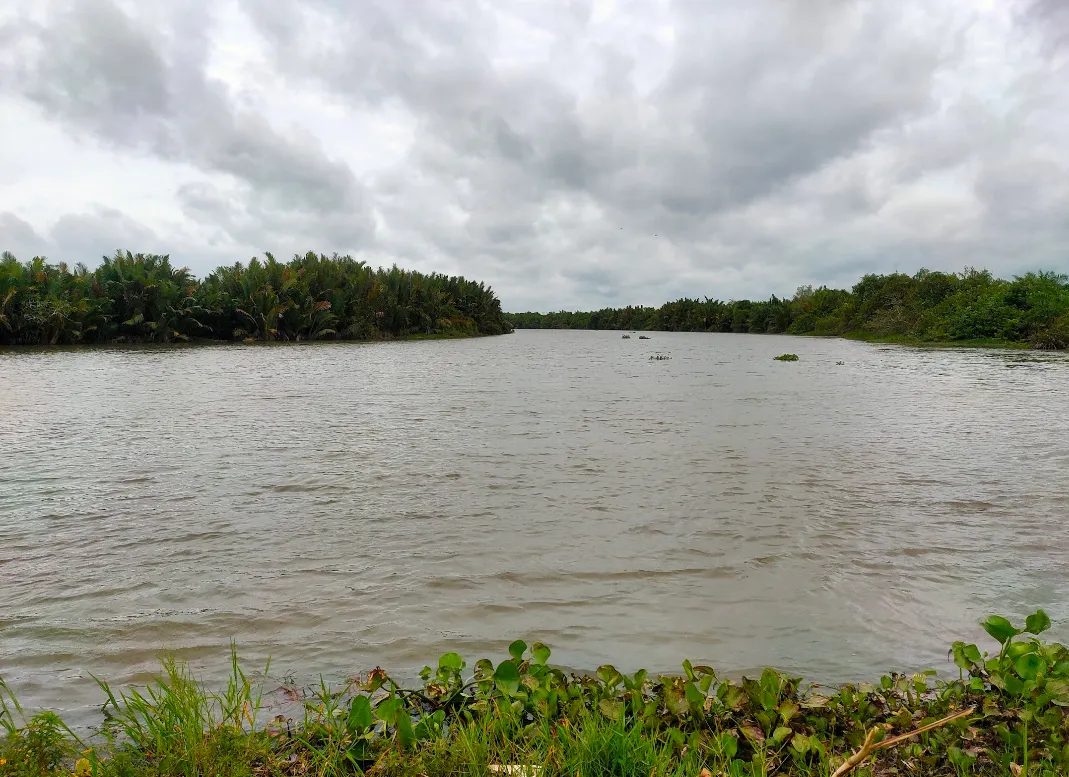Ikan Nilem - Habitat